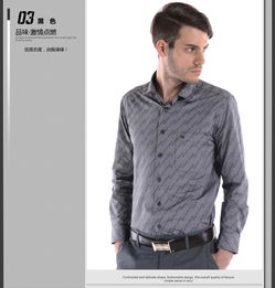 帝牌男装2013春夏新品 713102长袖条纹衬衫，诠释男士休闲风范